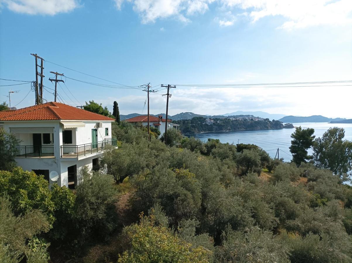 Ftelia House Villa Skiathos-stad Buitenkant foto
